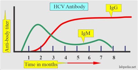 Hep C Virus Ab .